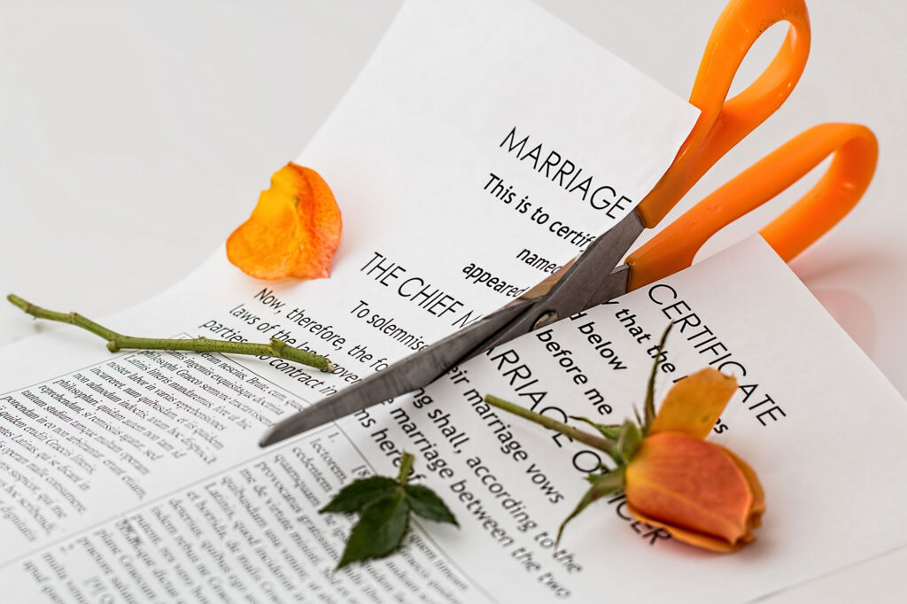Marriage certificate and rose cut with scissors