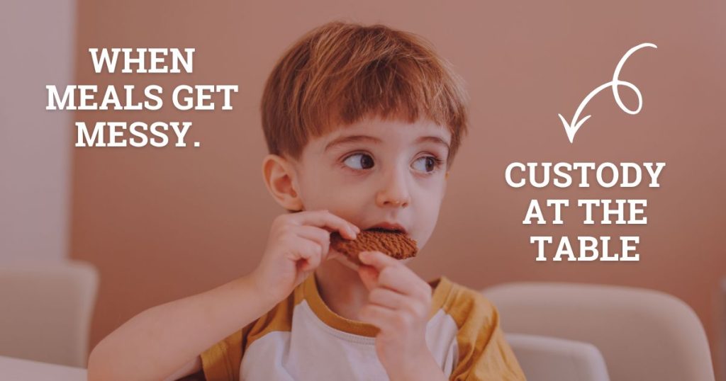 Co-Parenting and Custody